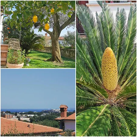 Apartmán Salt & Sage