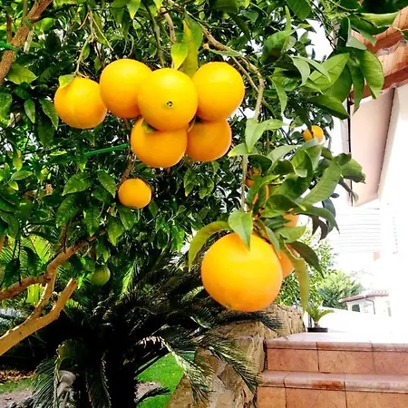 Salt & Sage Apartmán Manzano