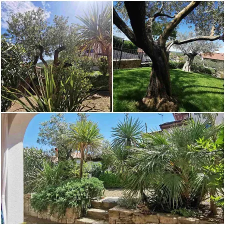 Salt & Sage Apartmán Manzano