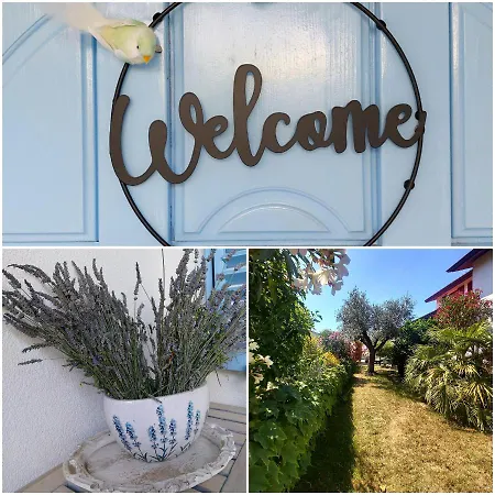 Salt & Sage * Manzano