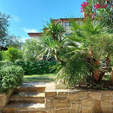 Salt & Sage * Manzano