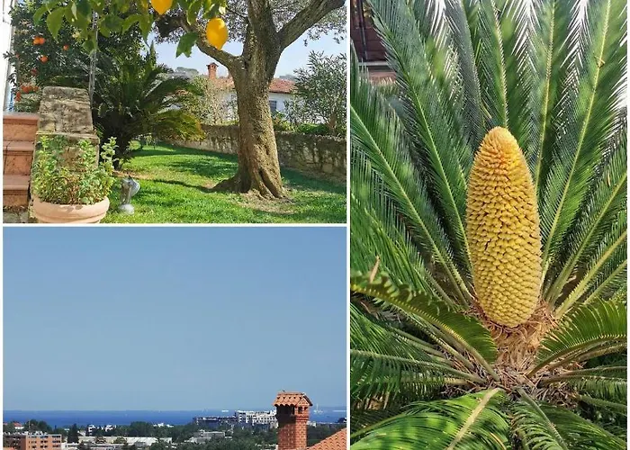 Lägenhet Salt & Sage