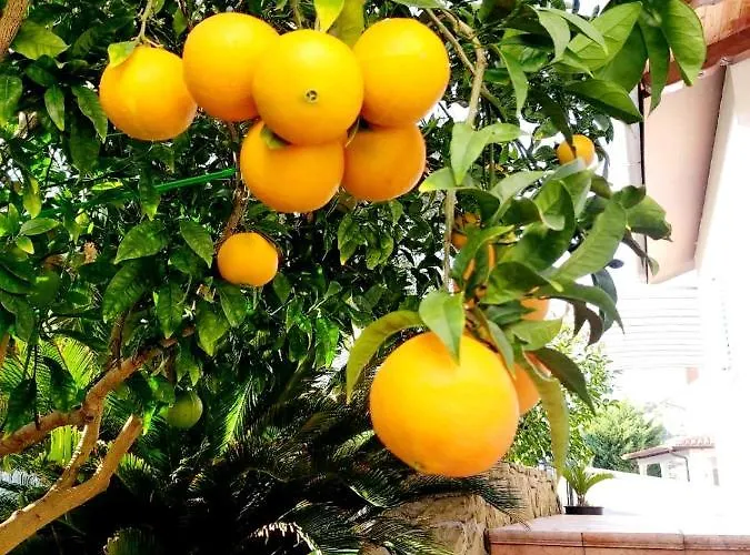 Salt & Sage Apartment Manzano