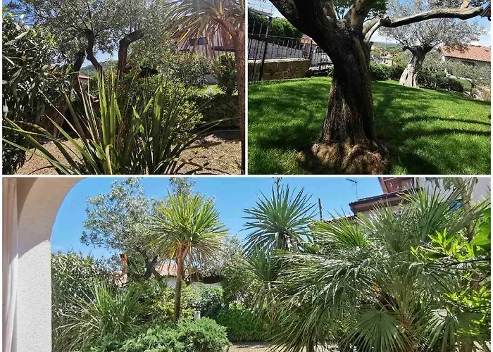 Salt & Sage Lägenhet Manzano