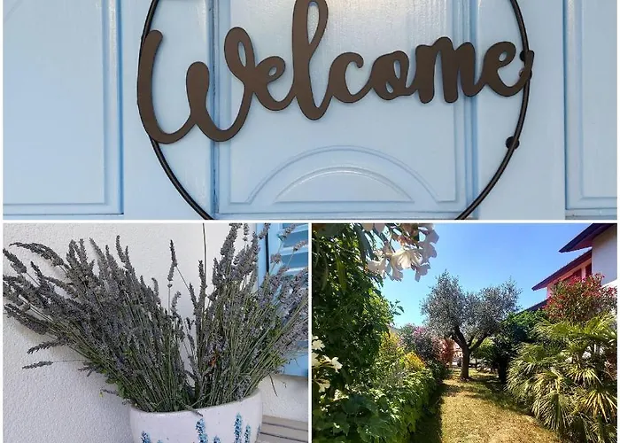 Salt & Sage * Manzano