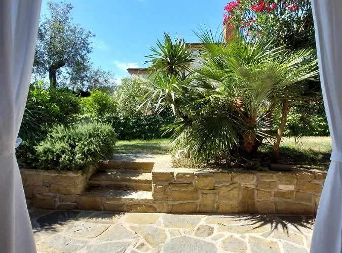 Salt & Sage * Manzano