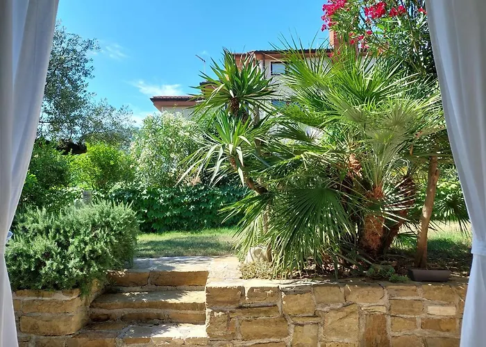 Salt & Sage * Manzano